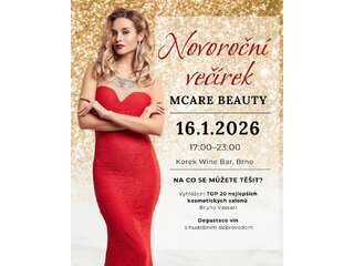 Novoroční večírek - doprovod Novoroční večírek - doprovod